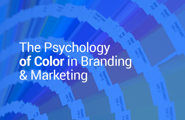 The Psychology of Color in Branding & Marketing