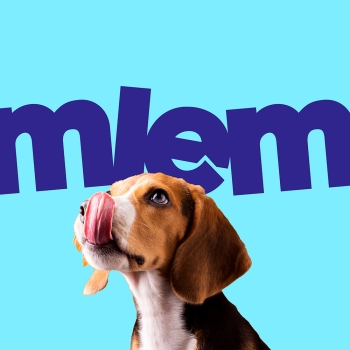 MLEM – Attracting Customers With Delightful New Packaging Design for Dog’s Food Supplements and Food
